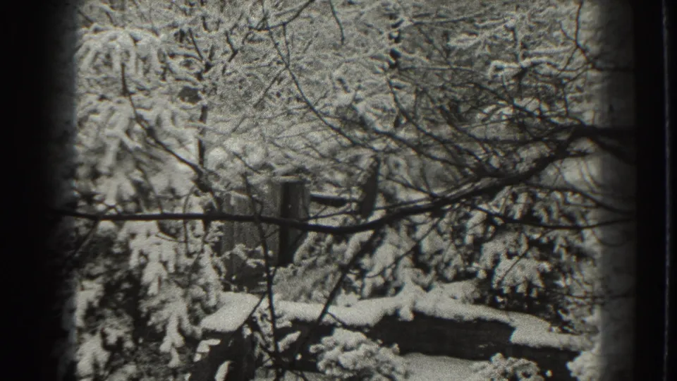 1938 Martinsburg winter frame with snow-covered evergreens, leafless branches, shrubs, and a low wall or yard structure.