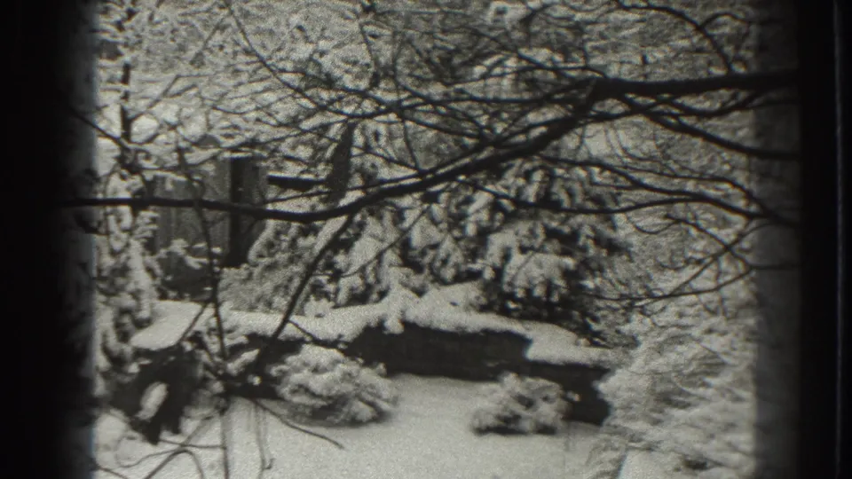 Final black-and-white 8mm frame showing a snow-covered Martinsburg yard with branches, evergreens, shrubs, and a low structure or wall.