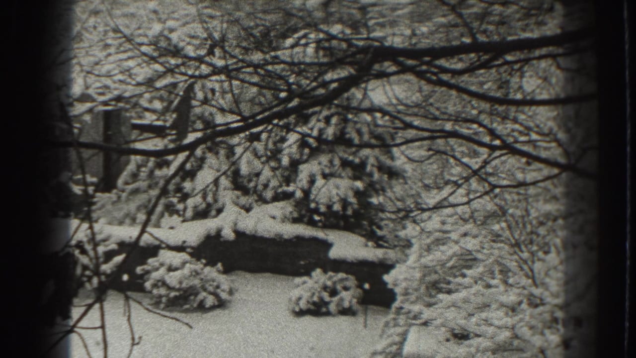 Snow-covered yard with shrubs, trees, and dark foreground branches.