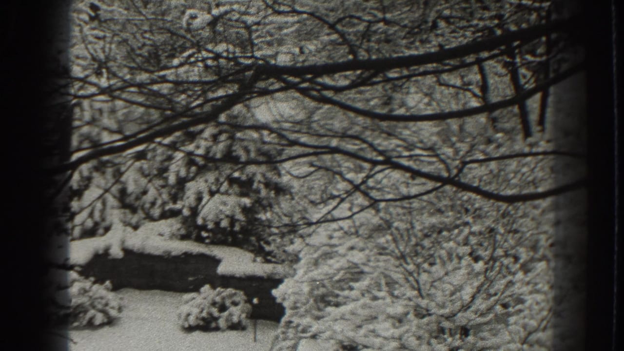 1938 Martinsburg winter frame with snow-covered trees, shrubs, and branches crossing the foreground.