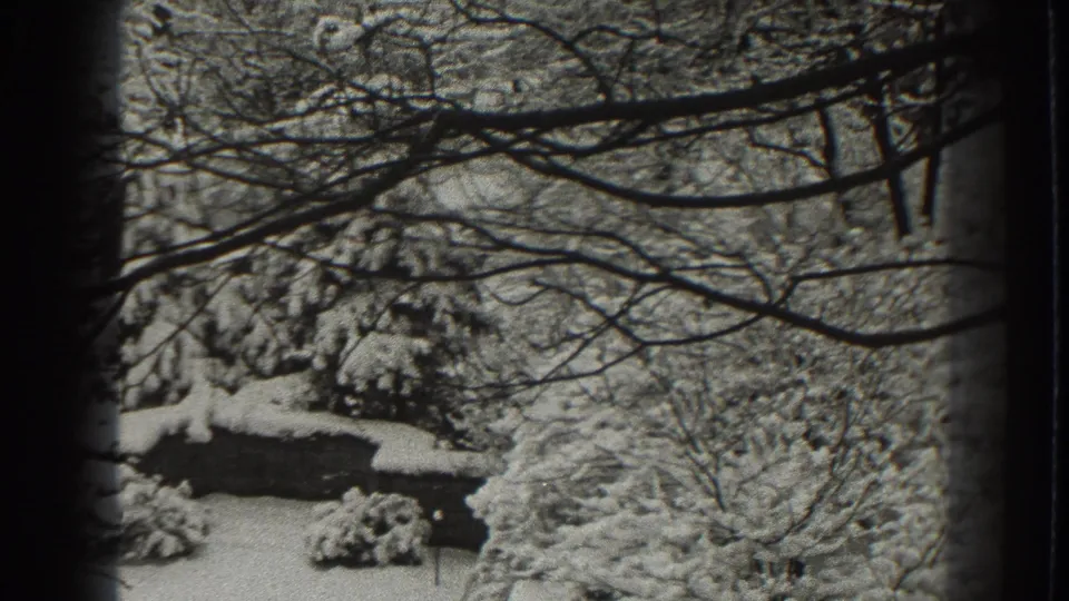 1938 Martinsburg winter frame with snow-covered trees, shrubs, and branches crossing the foreground.