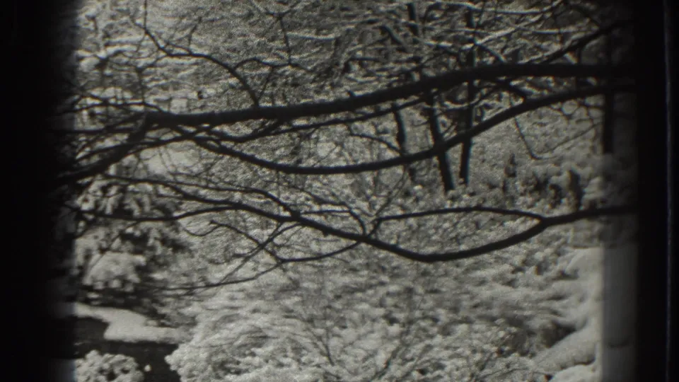 1938 Martinsburg 8mm frame showing bare branches over snow-covered shrubs and ground.