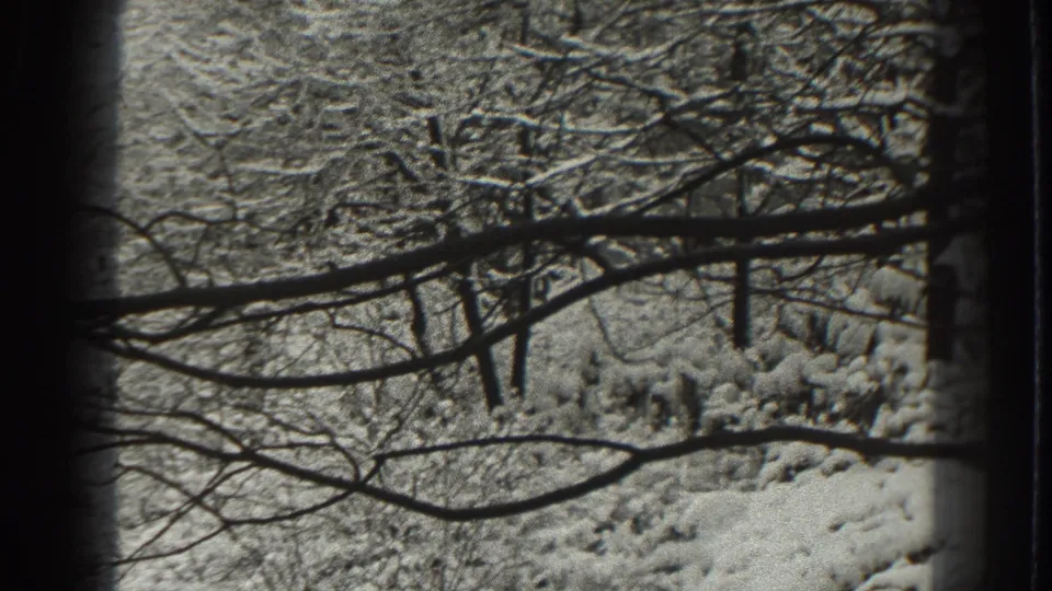 1938 Martinsburg winter frame with bare branches, snowy trees, shrubs, and ground near the end of the pan.