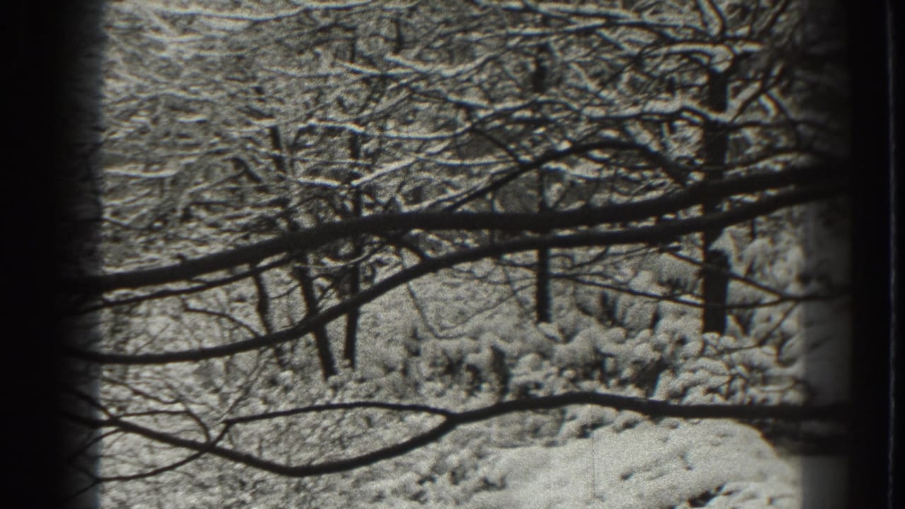 Snow-covered trees and bare branches seen through dark vertical frame edges.