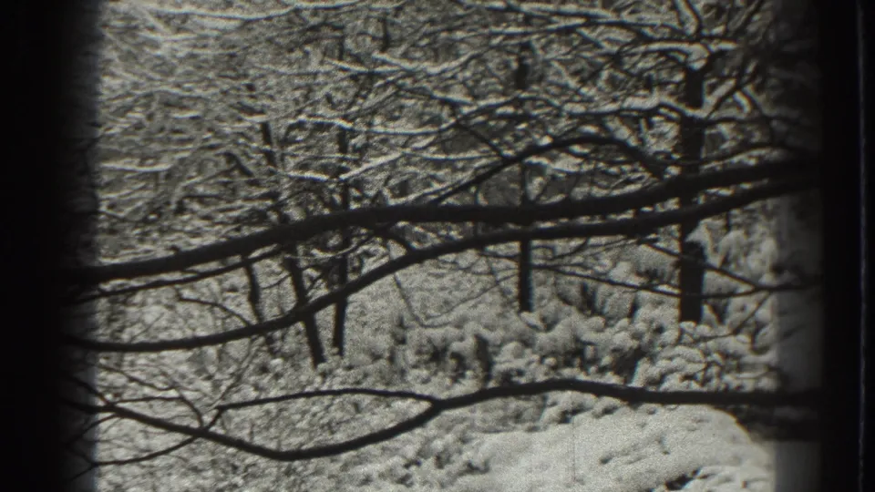 1938 Martinsburg home-movie frame showing snow on bare trees and shrubs, viewed through a dark window-like edge.