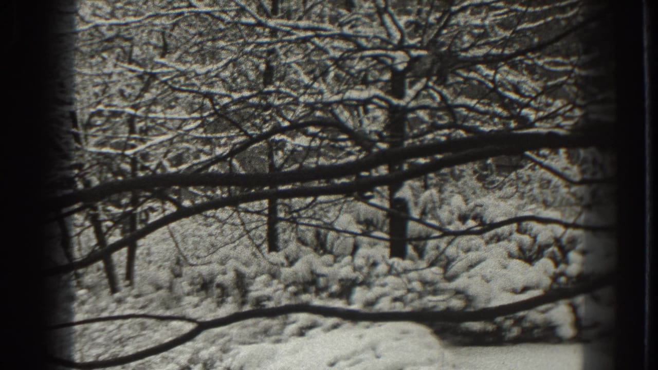 Bare winter branches and snow-covered brush framed by dark edges.