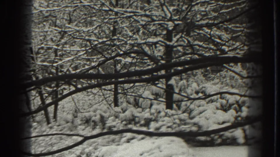 Static 8mm view of snowy trees and brush in Martinsburg, West Virginia, with dark frame edges at both sides.