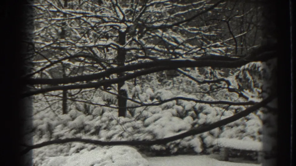 1938 8mm frame of snow-coated shrubs, trunks, and a dark foreground limb in a quiet Martinsburg winter landscape.