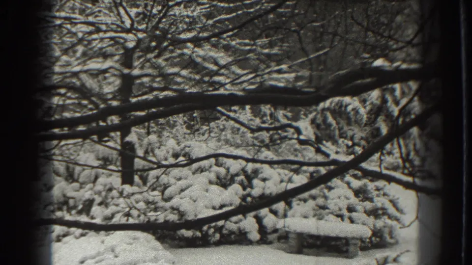 Martinsburg 1938 home-movie still showing bare trees, snowy undergrowth, and dark film or window borders around the view.
