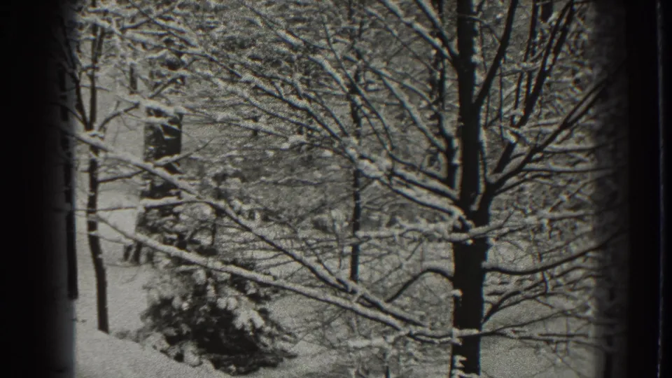 1938 Martinsburg home-movie frame showing snow on bare branches, a dark tree trunk, and evergreen foliage beyond a window-like border.