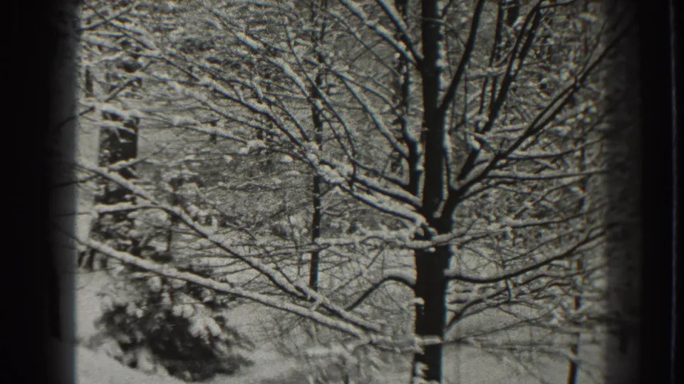 Snow-laden deciduous branches and a central dark trunk appear in this Martinsburg, West Virginia winter home-movie frame.