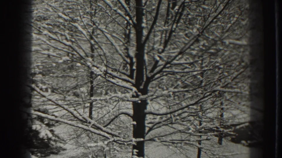 1938 8mm frame from Martinsburg showing a closer view of a snow-covered deciduous tree and darker wooded background.