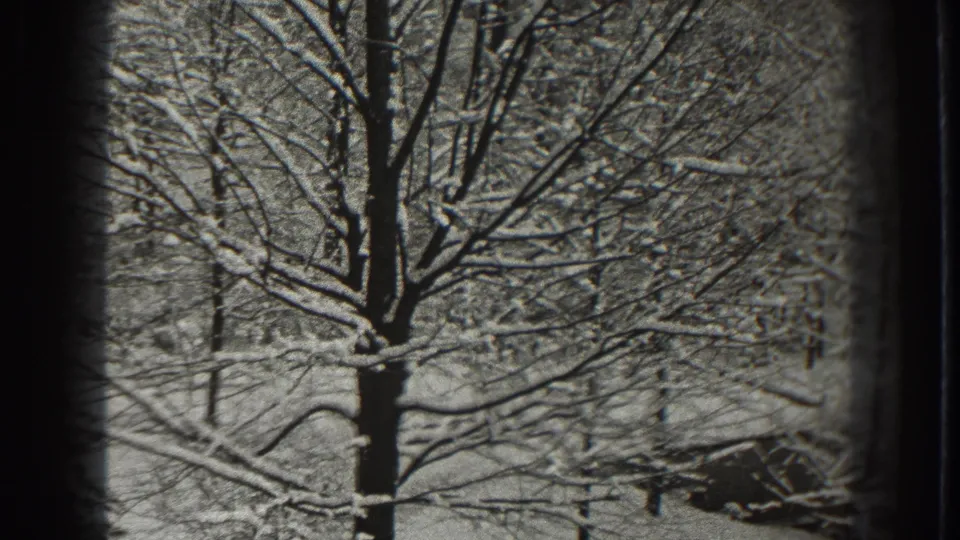 Final Martinsburg winter frame shows a dark trunk, snow-bright branches, and wooded background within visible 8mm frame borders.