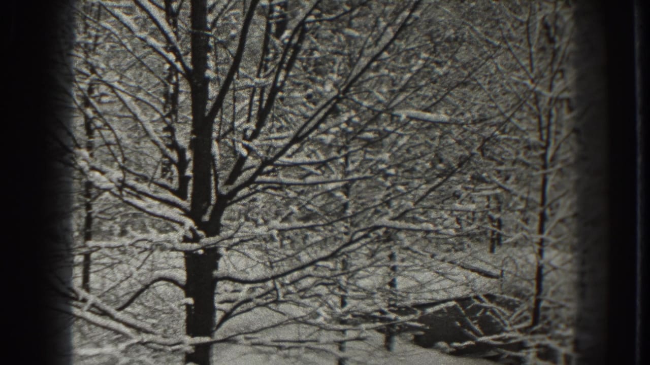 Snow-covered bare trees seen through dark vertical frame edges.