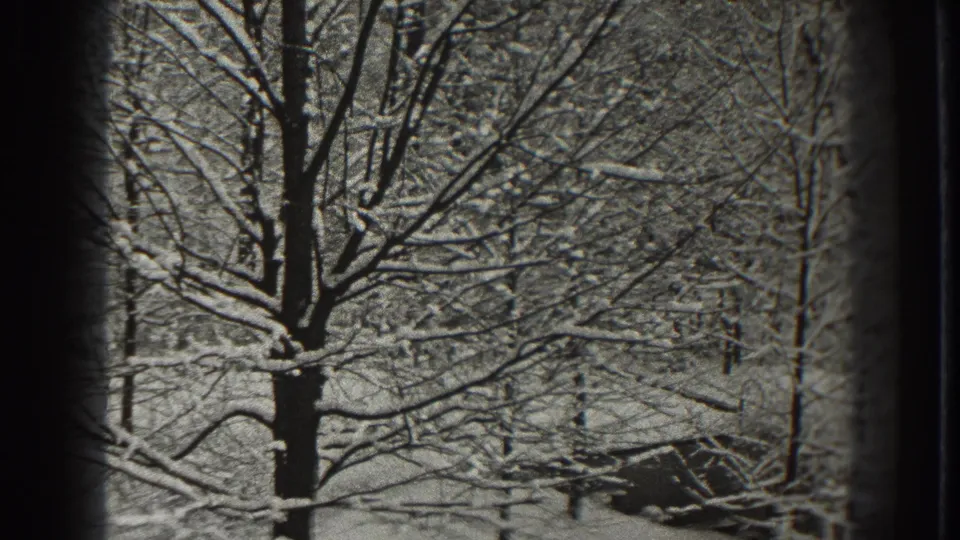 1938 Martinsburg 8mm frame showing snow-coated tree branches and trunks in a quiet winter woodland.
