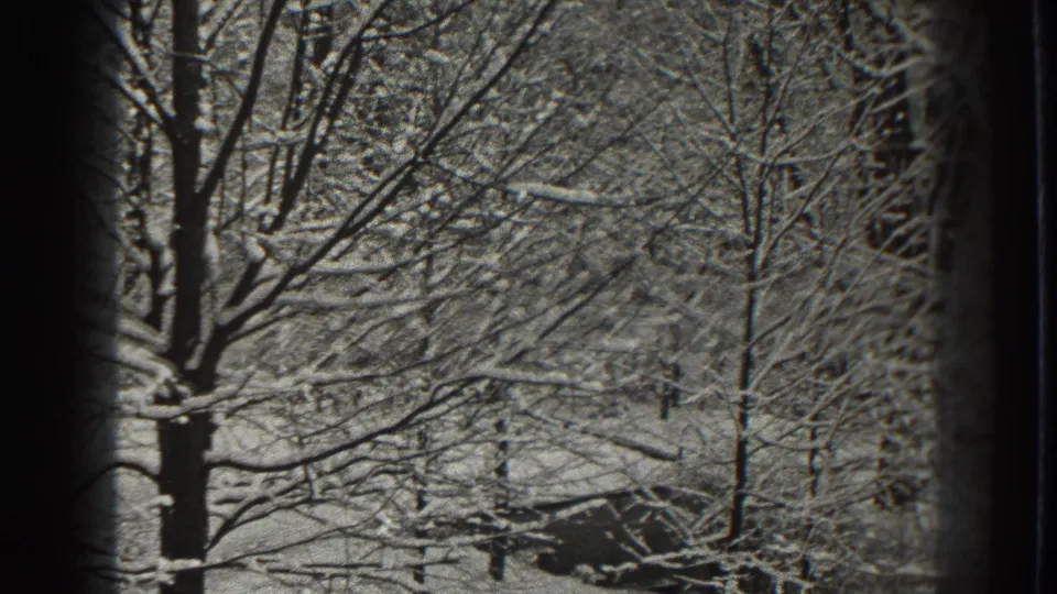 A high-contrast 8mm view of snowy trees in Martinsburg, West Virginia, with dense branches filling the frame.