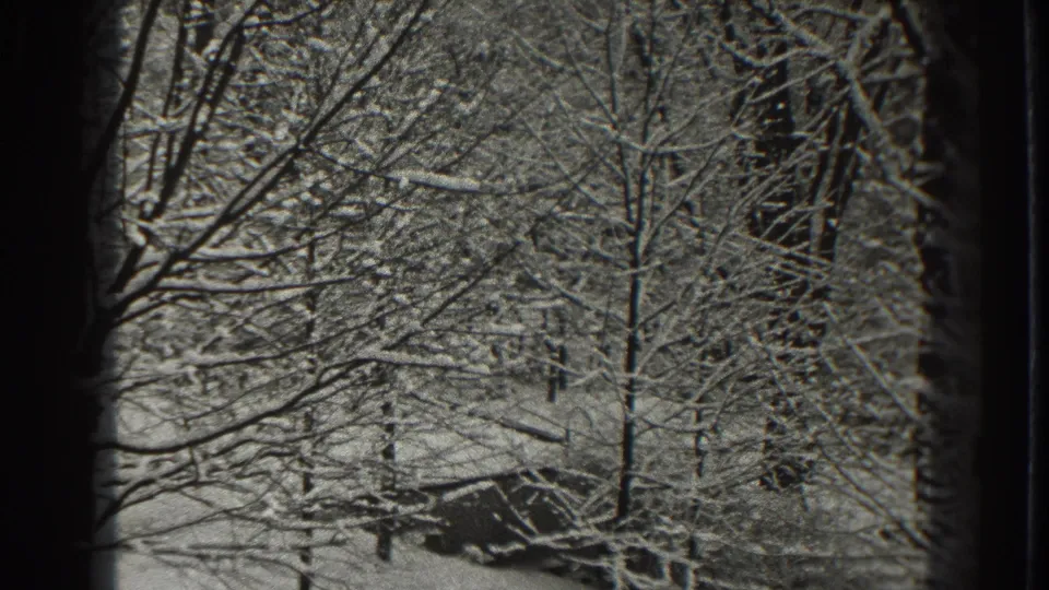 Late-1930s home-movie frame of a snow-laden woodland, with dark vertical edges and no visible people or structures.