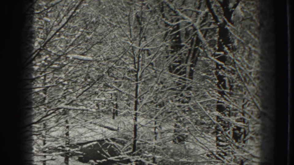 Martinsburg winter woodland frame showing snow on branches, dark tree trunks, and grainy 8mm contrast.