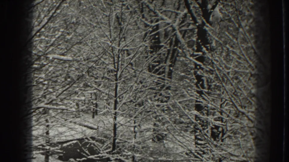 1938 Martinsburg, West Virginia 8mm frame showing snow on bare branches and tree trunks after a blizzard.