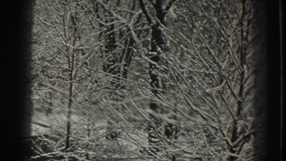 Snowy leafless trees fill the frame in this 1938 Martinsburg winter home-movie view.