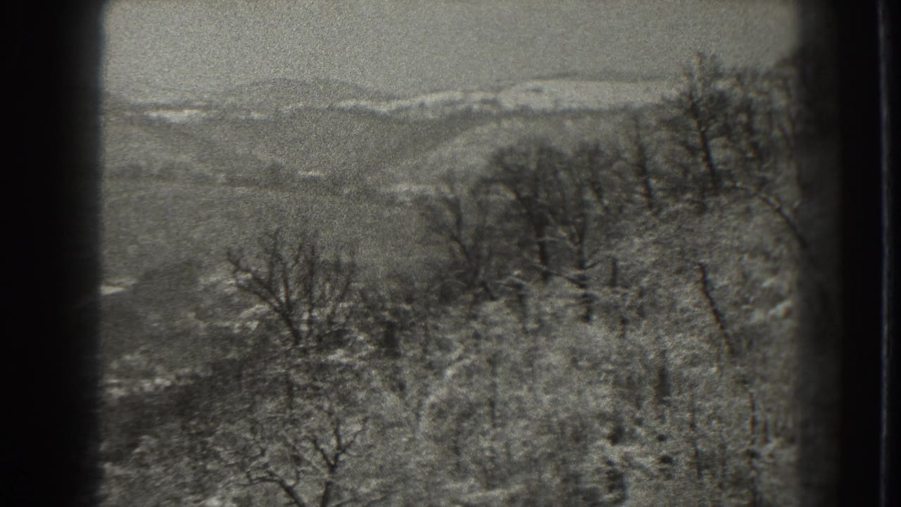 Snow-dusted wooded hillside with bare trees and distant rolling hills.