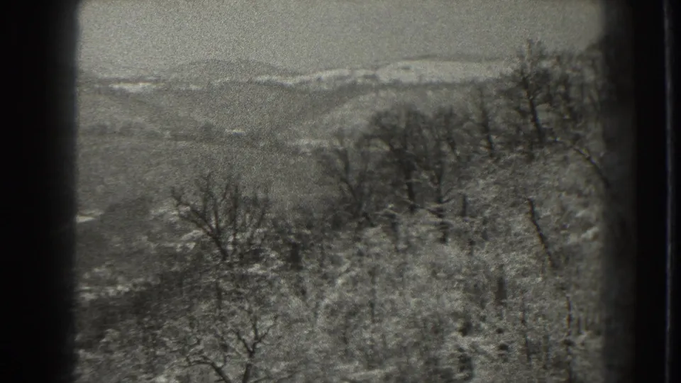 Black-and-white 1938 home-movie frame from Martinsburg showing snow-dusted trees on a hillside with distant winter hills beyond.