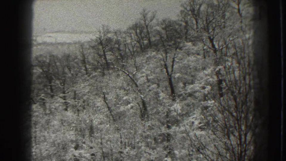 Black-and-white frame of a Martinsburg winter hillside, with dense bare trees, patchy snow, and distant rolling land visible through haze.