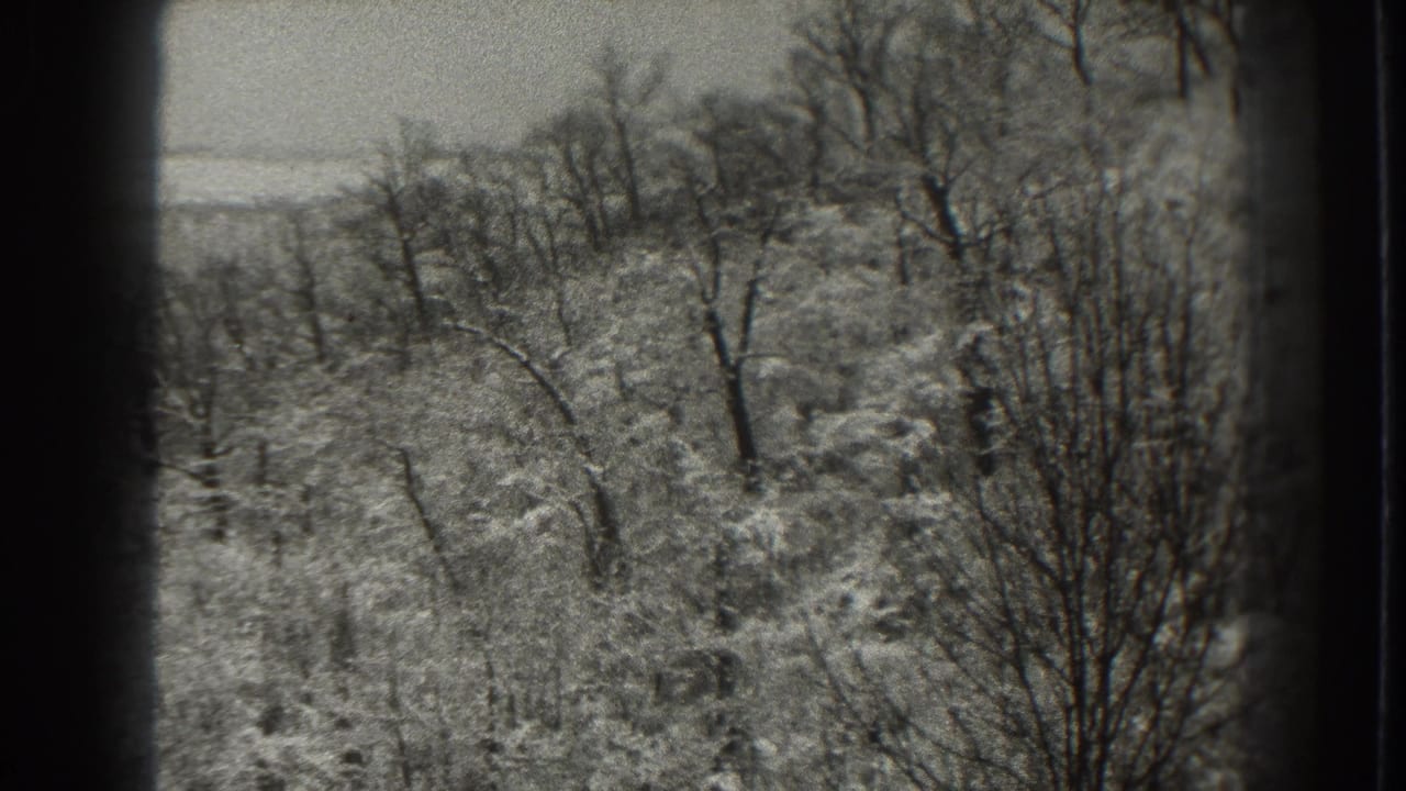 Snow-covered woodland with bare trees and dark 8mm film borders.
