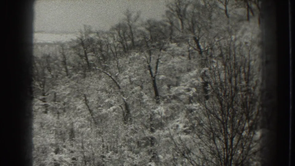 1938 Martinsburg, West Virginia 8mm frame showing a snowy wooded slope with leafless trees and a pale winter sky.