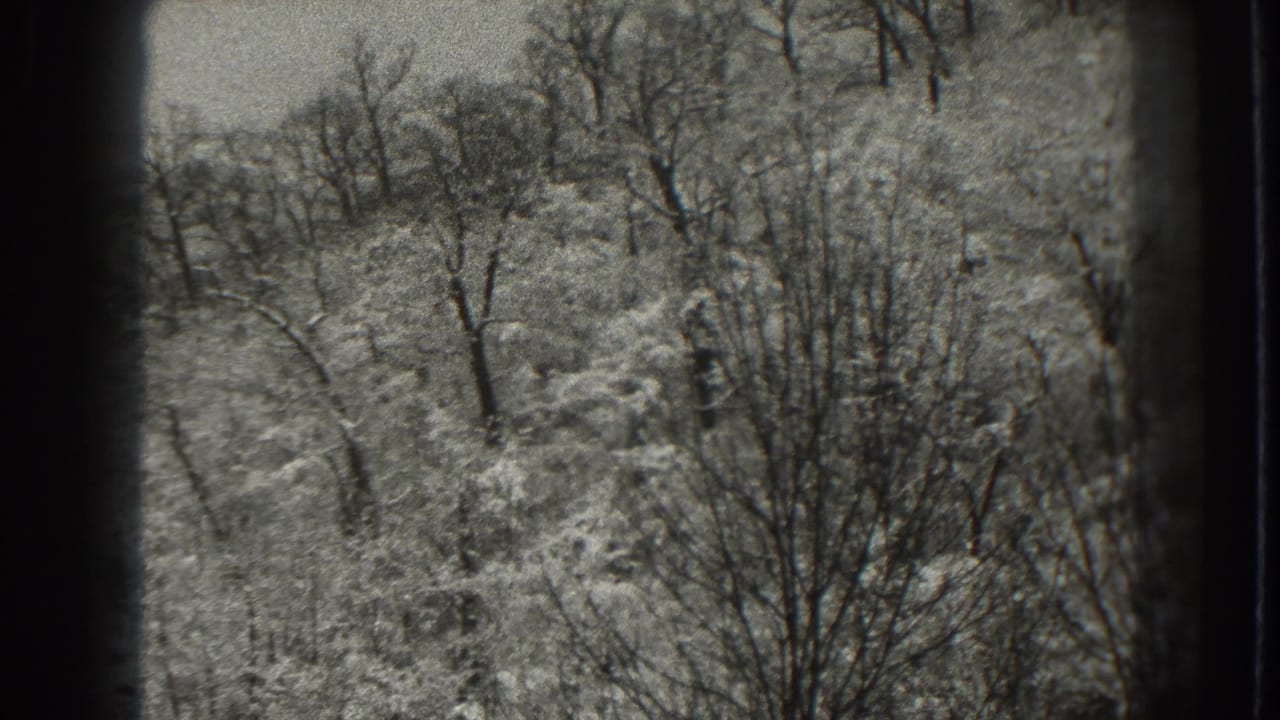 1938 Martinsburg, West Virginia 8mm frame of leafless woodland and snow-dusted brush seen through small-gauge film borders.