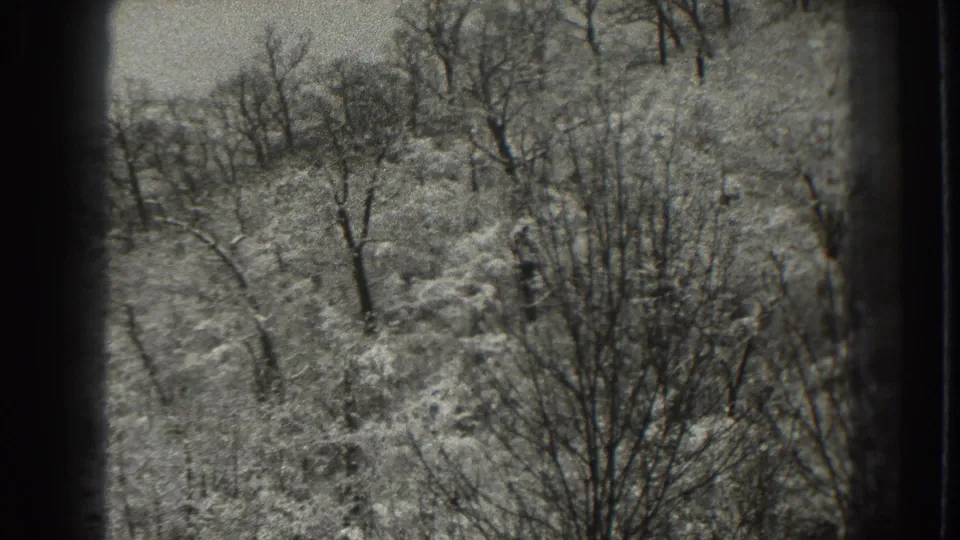 1938 Martinsburg, West Virginia 8mm frame of leafless woodland and snow-dusted brush seen through small-gauge film borders.