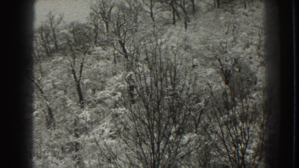 1938 Martinsburg, West Virginia 8mm frame showing a closer snowy woodland view with tangled bare branches and undergrowth.