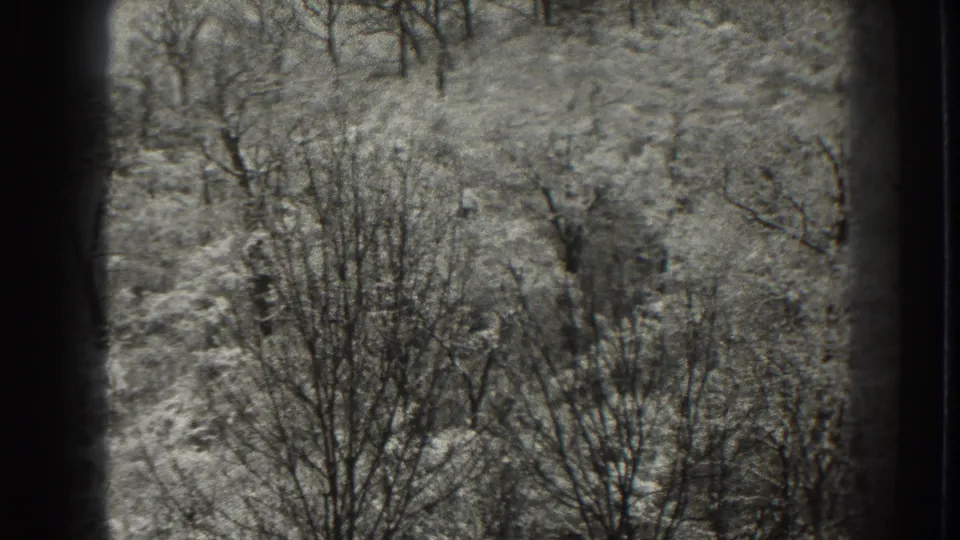 1938 Martinsburg, West Virginia 8mm frame of a still winter woodland, with bare trees rising from snow-covered brush.