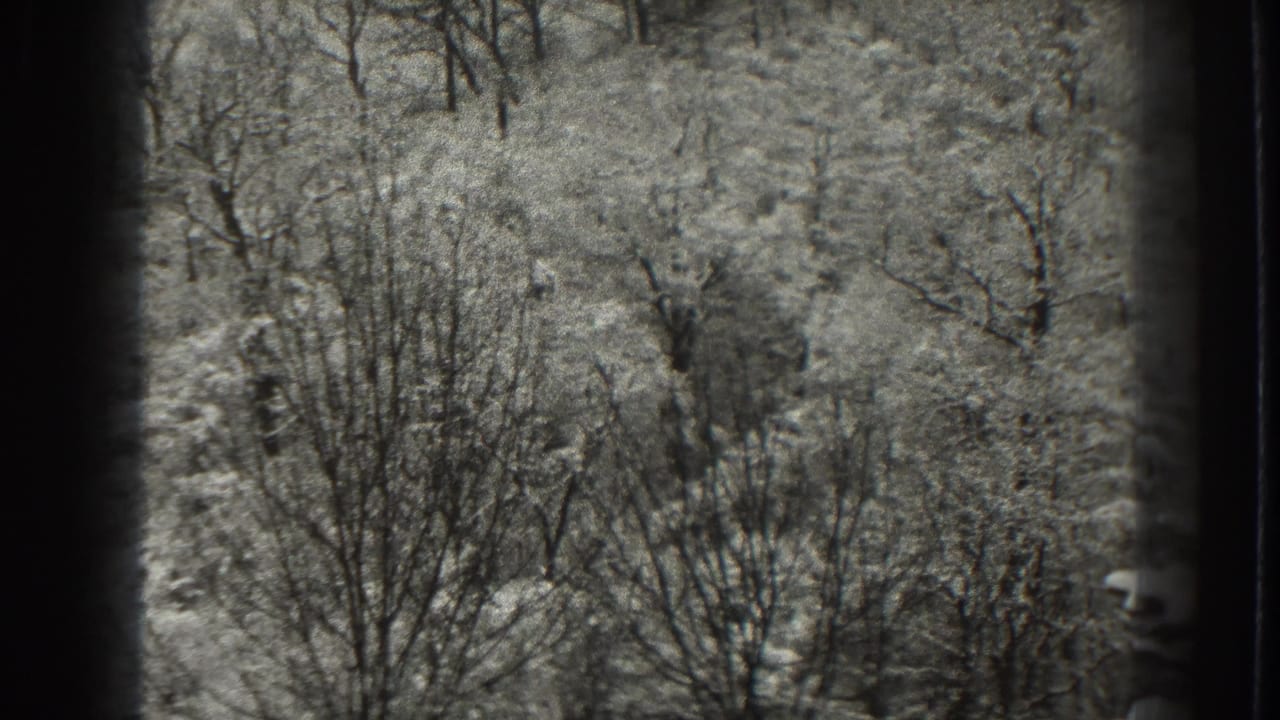 Snowy wooded hillside seen through dark 8mm frame edges.