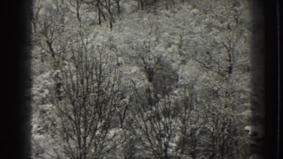 1938 Martinsburg, West Virginia 8mm frame showing bare trees on a snow-covered wooded hillside.