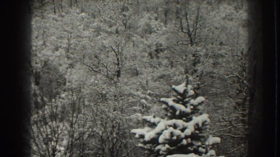 1938 Martinsburg, West Virginia 8mm frame showing a snow-laden evergreen against a hillside of bare trees.