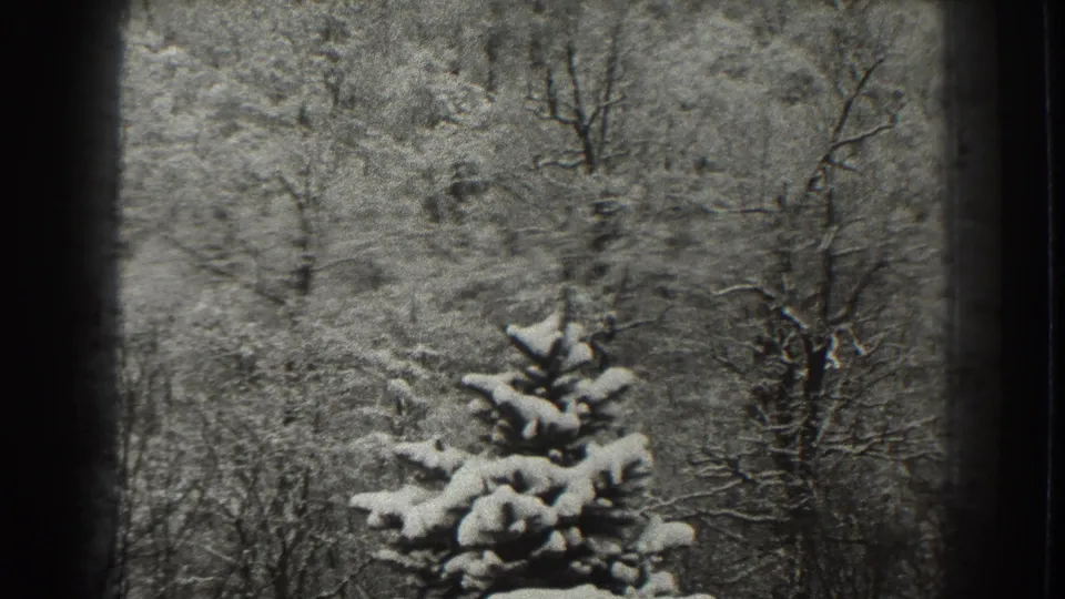 1938 Martinsburg, West Virginia 8mm frame with a snow-covered evergreen centered below bare winter trees.