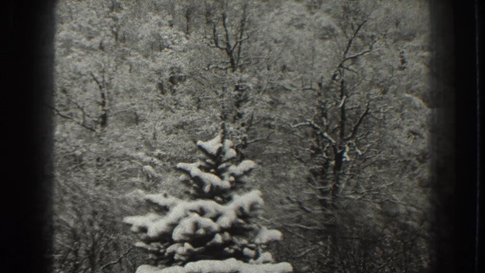 1938 Martinsburg home-movie frame showing a snow-covered evergreen before bare winter trees on a wooded hillside.