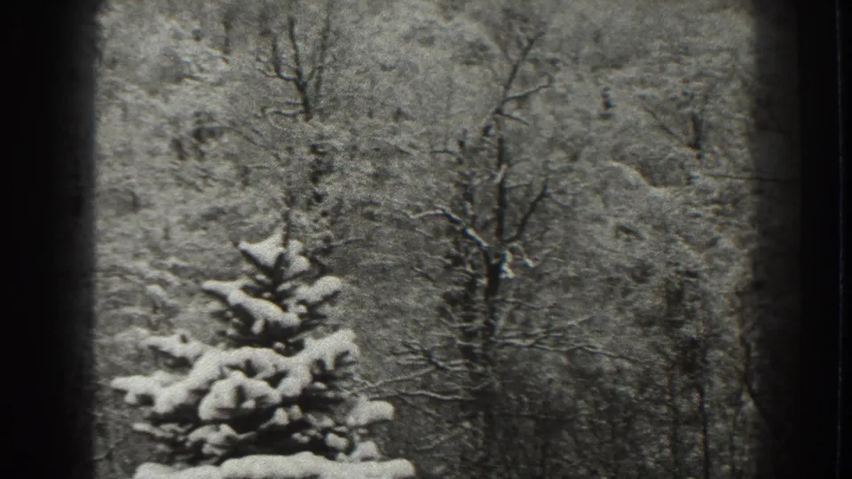 1938 Martinsburg frame with a snow-laden evergreen centered against dense bare winter trees and dark 8mm borders.