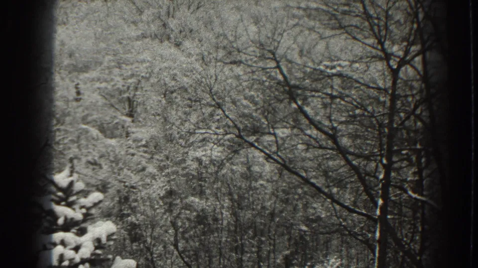 1938 Martinsburg home-movie frame showing bare trees, snowy hillside brush, and part of an evergreen at the lower edge.