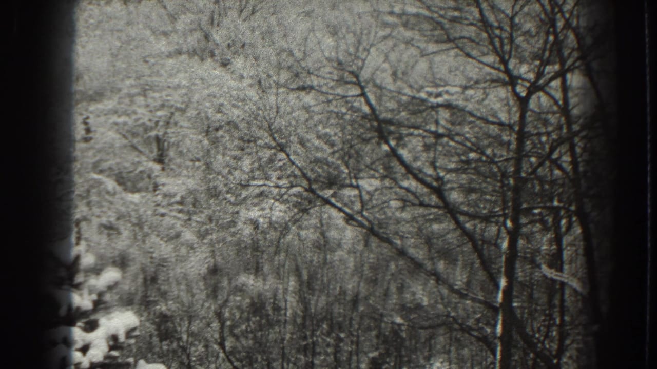 Snowy wooded hillside with bare trees and dark film edges.