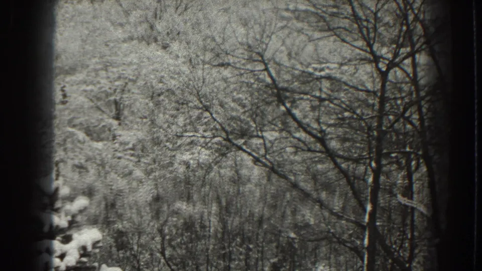 1938 Martinsburg, West Virginia 8mm frame showing bare winter trees against a snow-covered wooded hillside.