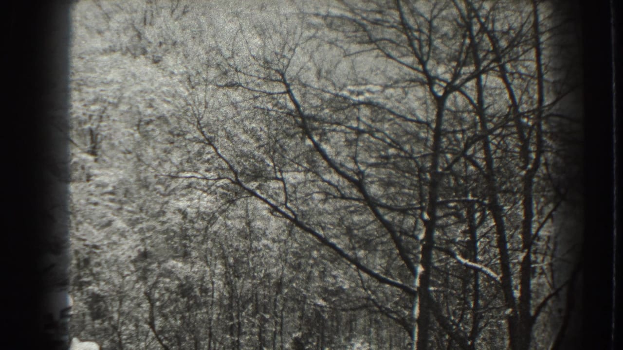 1938 Martinsburg, West Virginia 8mm frame with leafless trees and snow-dusted woods filling the view.