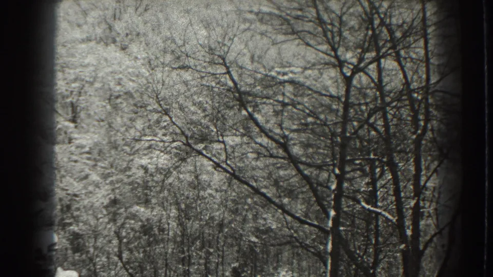 1938 Martinsburg, West Virginia 8mm frame with leafless trees and snow-dusted woods filling the view.