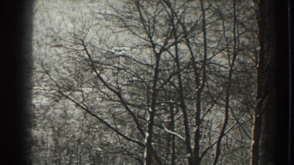 1938 Martinsburg, West Virginia 8mm frame of a snowy wooded hillside seen through bare winter branches.