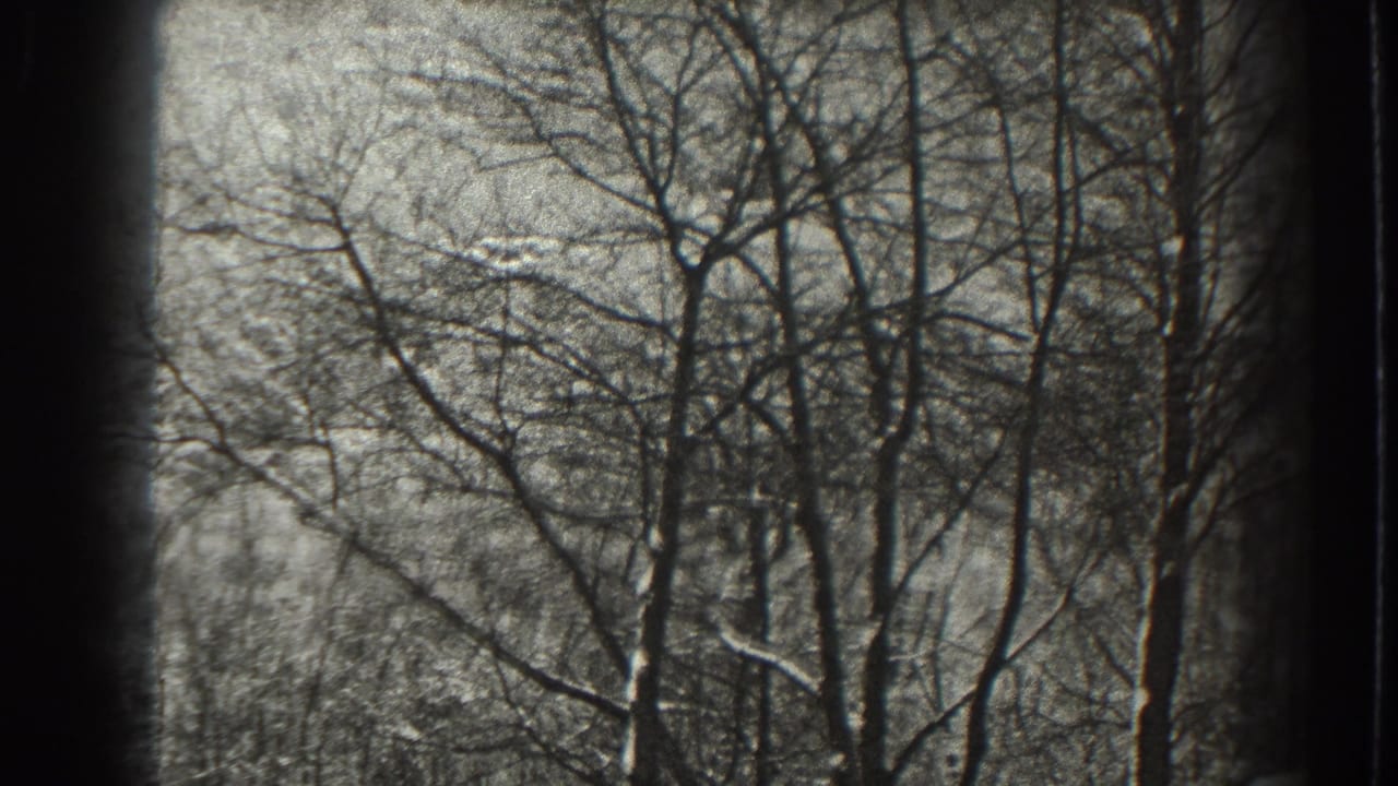 Bare tree branches against a pale grey sky with dark 8mm frame borders.