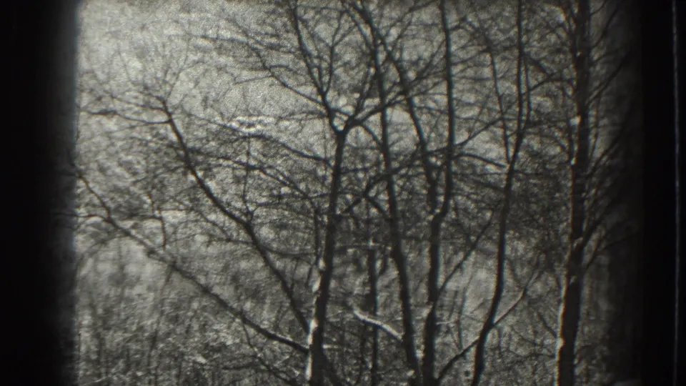 1938 Martinsburg-area home-movie frame showing leafless trees and tangled branches in a monochrome winter woodland view.