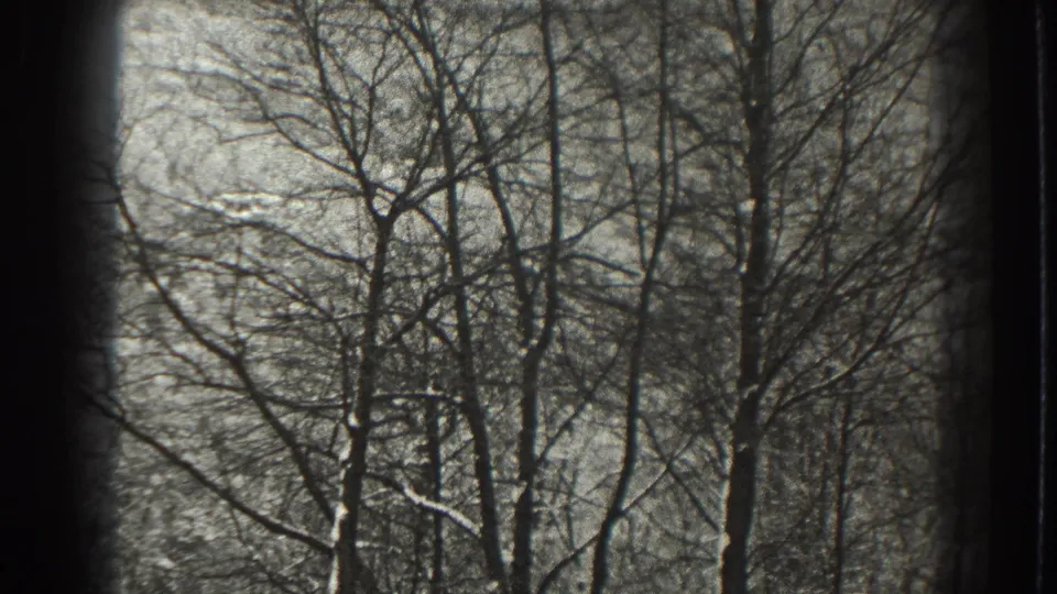 Monochrome 8mm frame from the Martinsburg, West Virginia clip showing a dense pattern of winter tree branches.