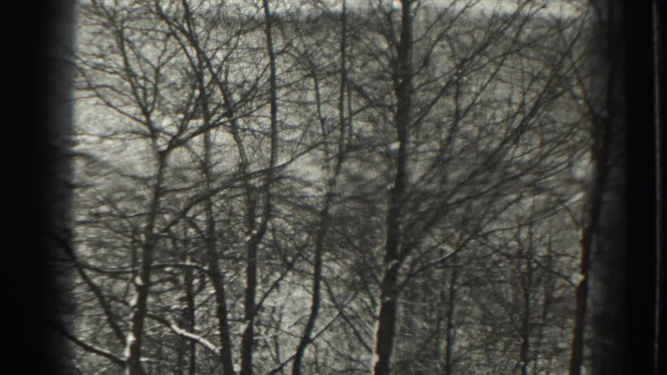 1938 home-movie still showing a quiet leafless woodland near Martinsburg, with branch silhouettes across a grey sky.