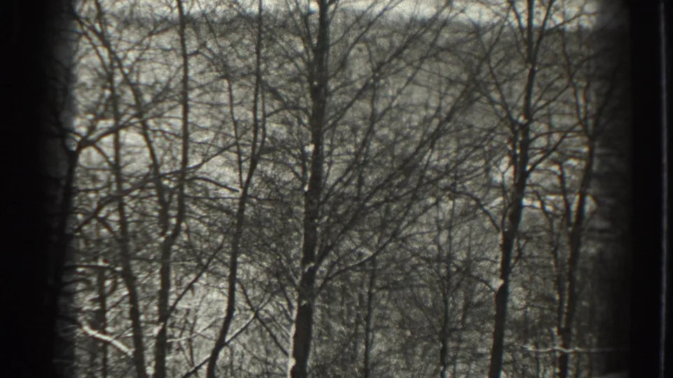 Final sampled frame of the 1938 Martinsburg woodland clip, showing bare winter trees in grainy black-and-white 8mm footage.